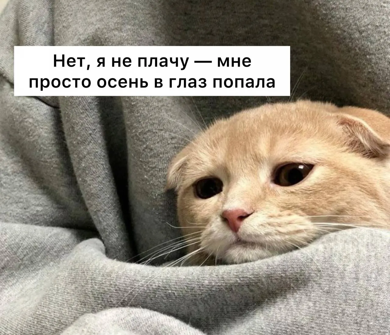 Почти половина россиян испытывают депрессивные симптомы; тревога и нарушения сна часто сохраняются. Специалисты рекомендуют обращаться к врачу или психологу.