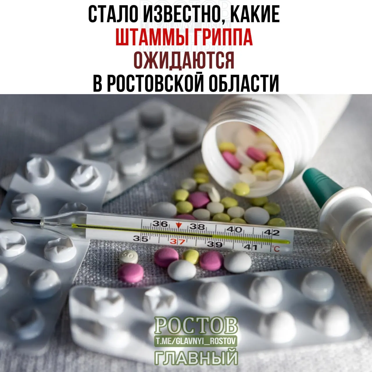 На предстоящий сезон вакцины будут включать штаммы свиного гриппа (H1N1), гонконгского гриппа (H3N2) и вирус типа B. Симптомы напоминают обычное ОРВИ, вакцинация рекомендуется.