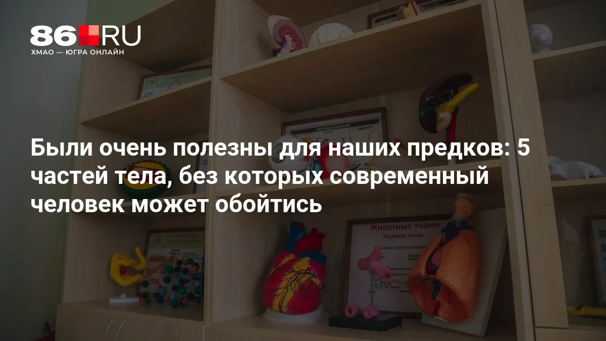 Разбираемся, какие части тела сегодня можно обойтись без них, и как медицина помогает вернуться к полноценной жизни после операций.