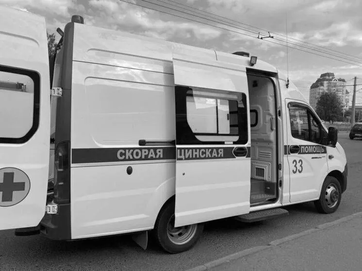 На трассе Павловск — Камень-на-Оби — граница Новосибирской области произошло столкновение двух автомобилей; погиб пассажир, еще двое пострадали и госпитализированы.