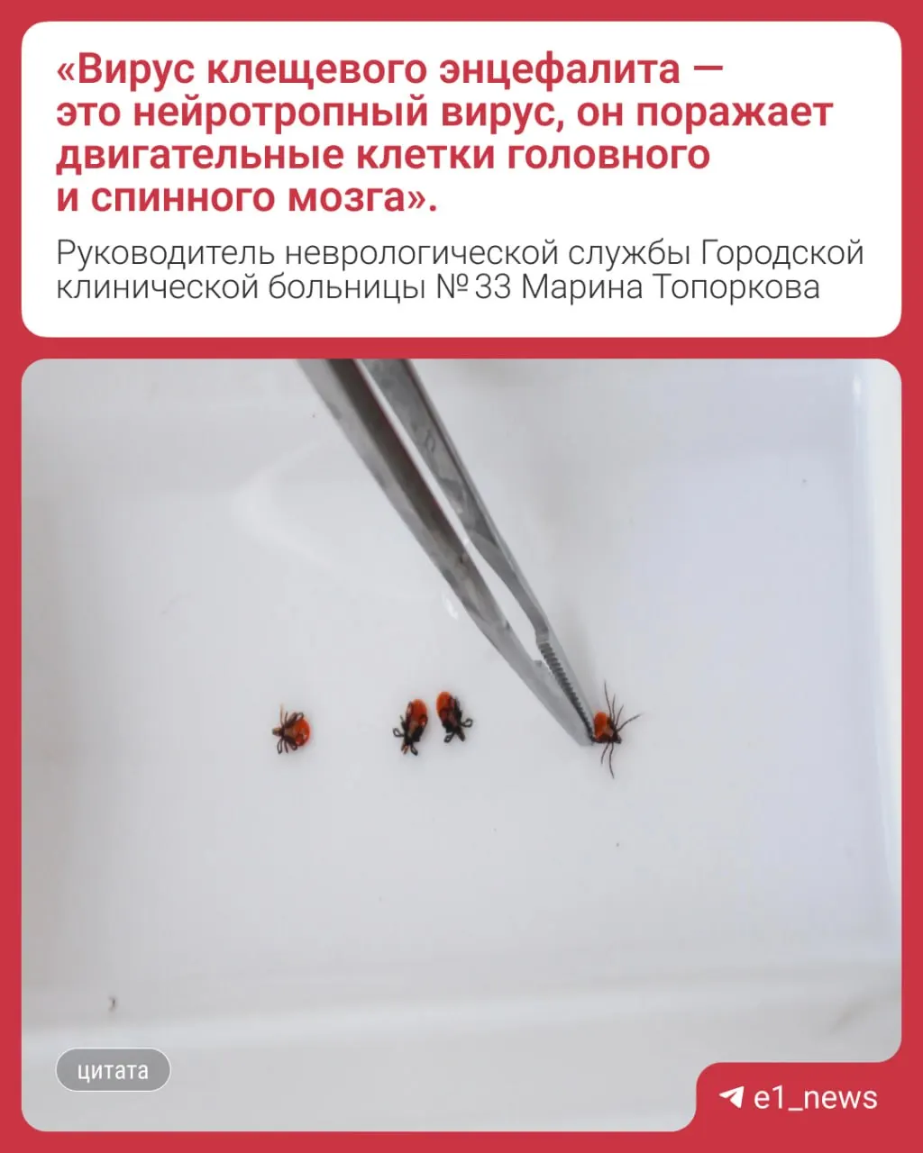 Среди погибших — двое жителей Екатеринбурга: одному было 39 лет, другому — 87. Все они не прививались от клещевого энцефалита. Сезон клещей продолжается.