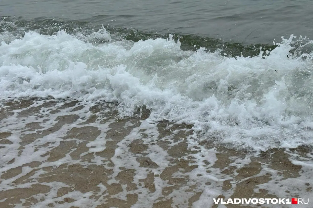 На воде зафиксировано 82 происшествия; основные причины — алкоголь и отсутствие надзора за детьми. В прошлом году их было 109.