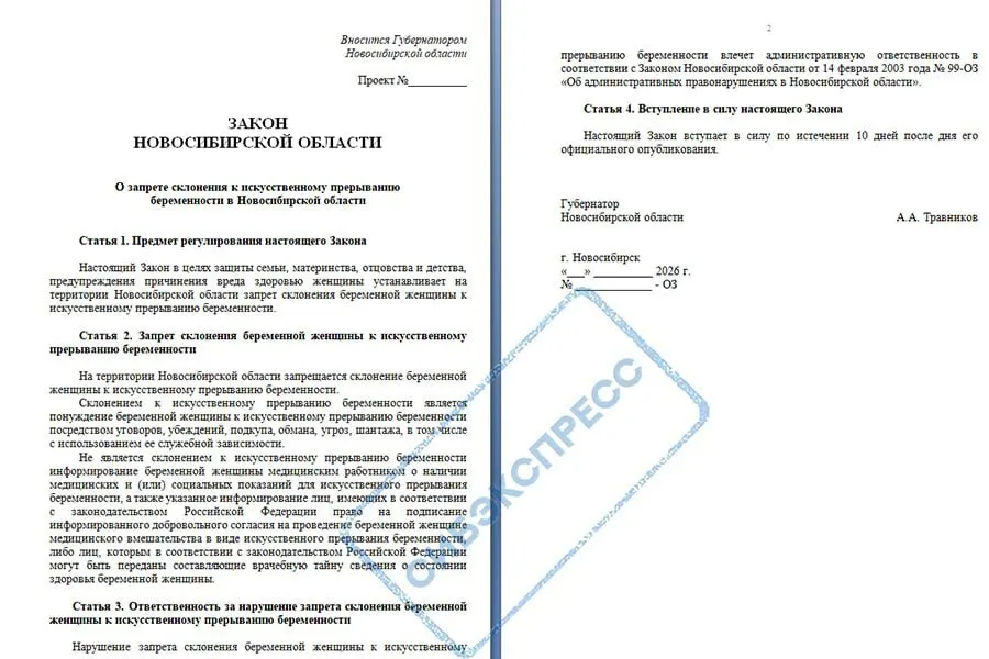 Законопроект предусматривает штрафы за давление, убеждения и шантаж в отношении решения женщины о прерывании беременности.