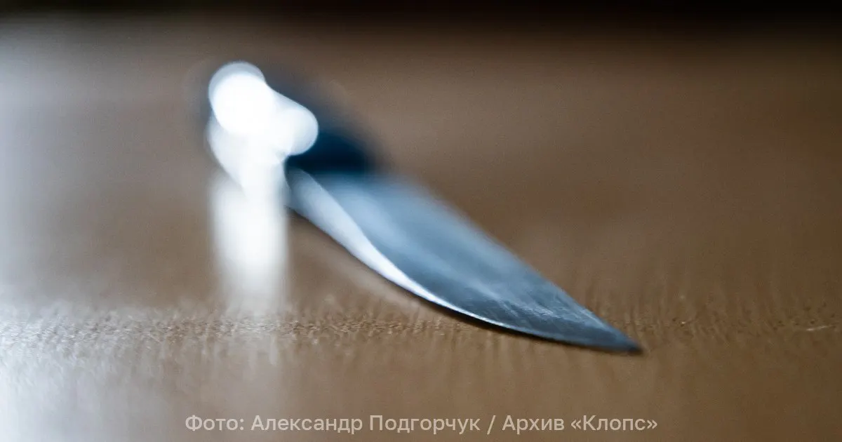 Во время распития спиртного один из участников конфликта получил ранения от ножа; полицейские оперативно оказали помощь и доставили пострадавшего в больницу. Проведена экстренная операция, жизни угроза миновала. Задержанный обвиняется в причинении тяжкого вреда здоровью.