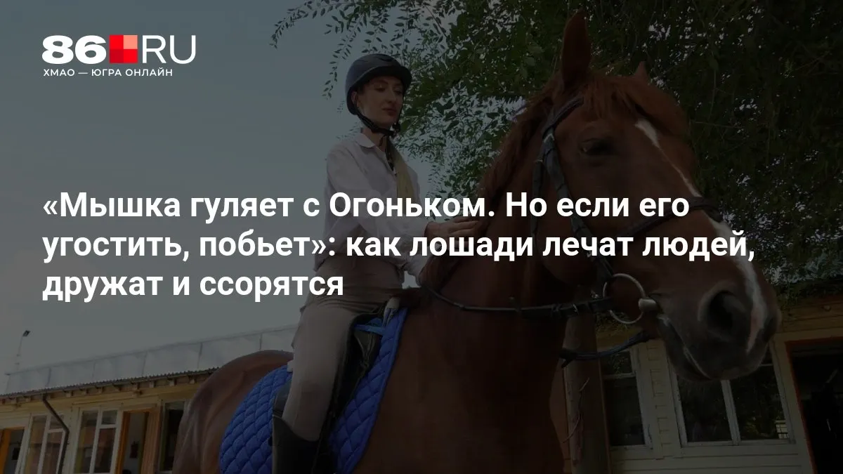 Рассказываем о роли животных-терапевтов на ипподроме и о том, как они поддерживают людей, вызывая разговоры о заботе о животных.