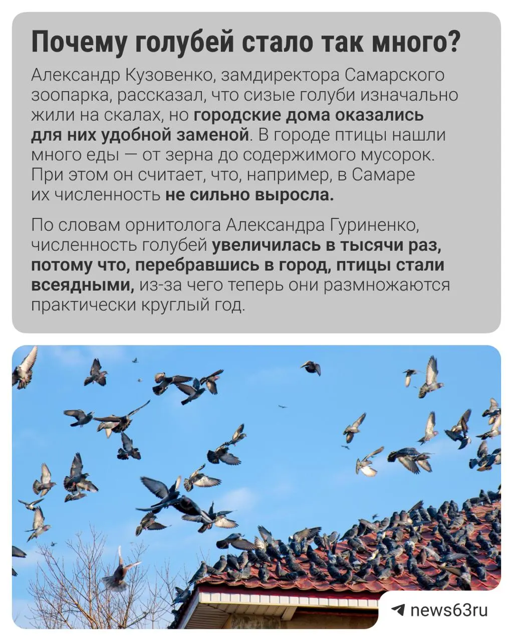 Разбираемся, есть ли риск для здоровья и что говорят эксперты.