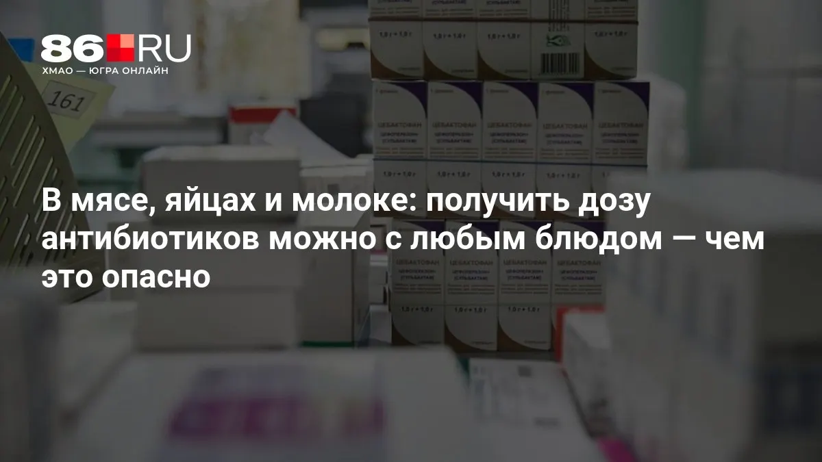 Как антибиотики попадают в повседневные продукты и почему термическая обработка не защитит от риска
