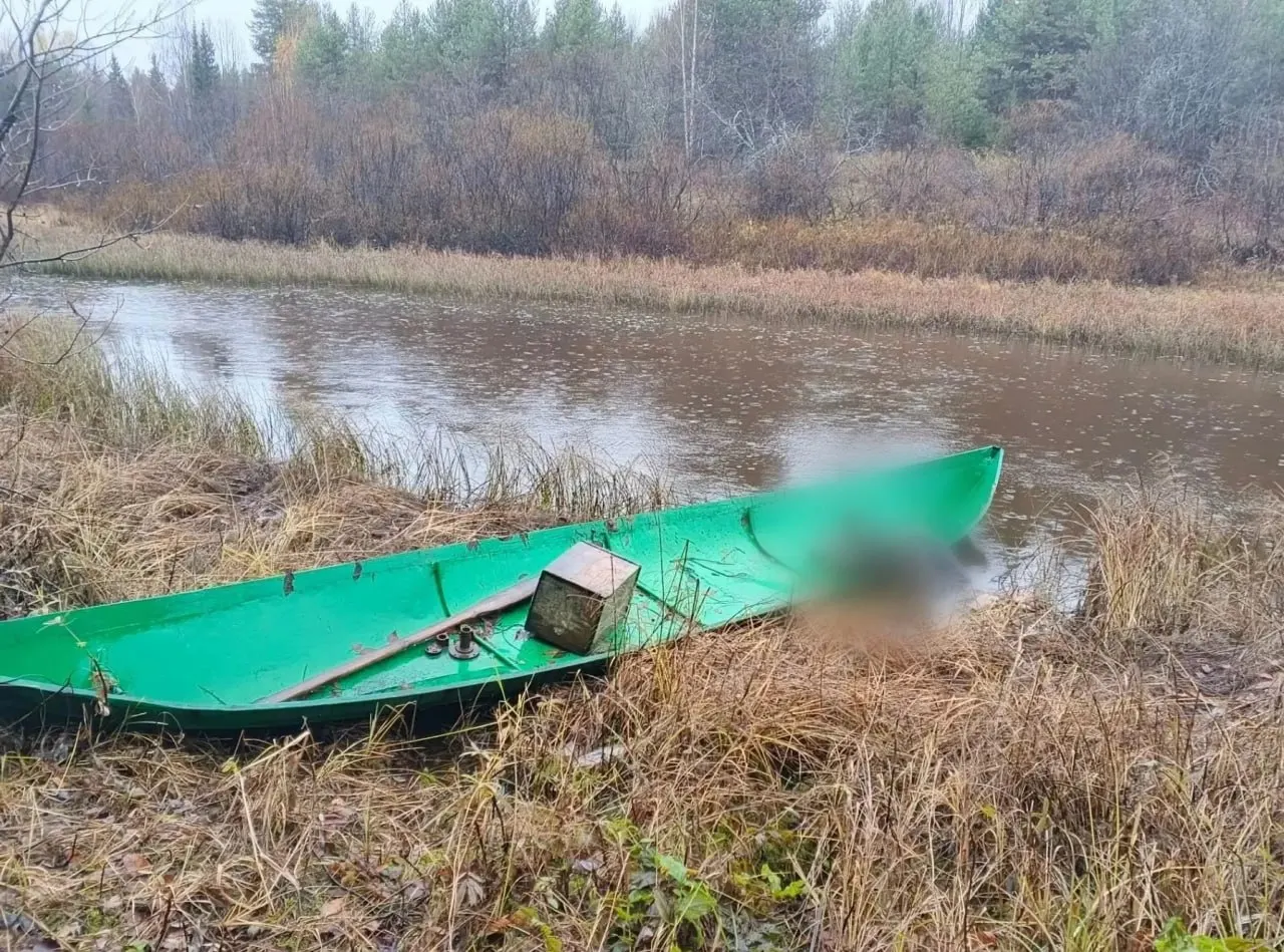 В Верхнетоемском районе обнаружили погибшего рыбака, в Маймаксанском рукаве Северной Двины ведутся поиски пропавшего 69-летнего мужчины; обстоятельства расследуются региональным следственным комитетом.