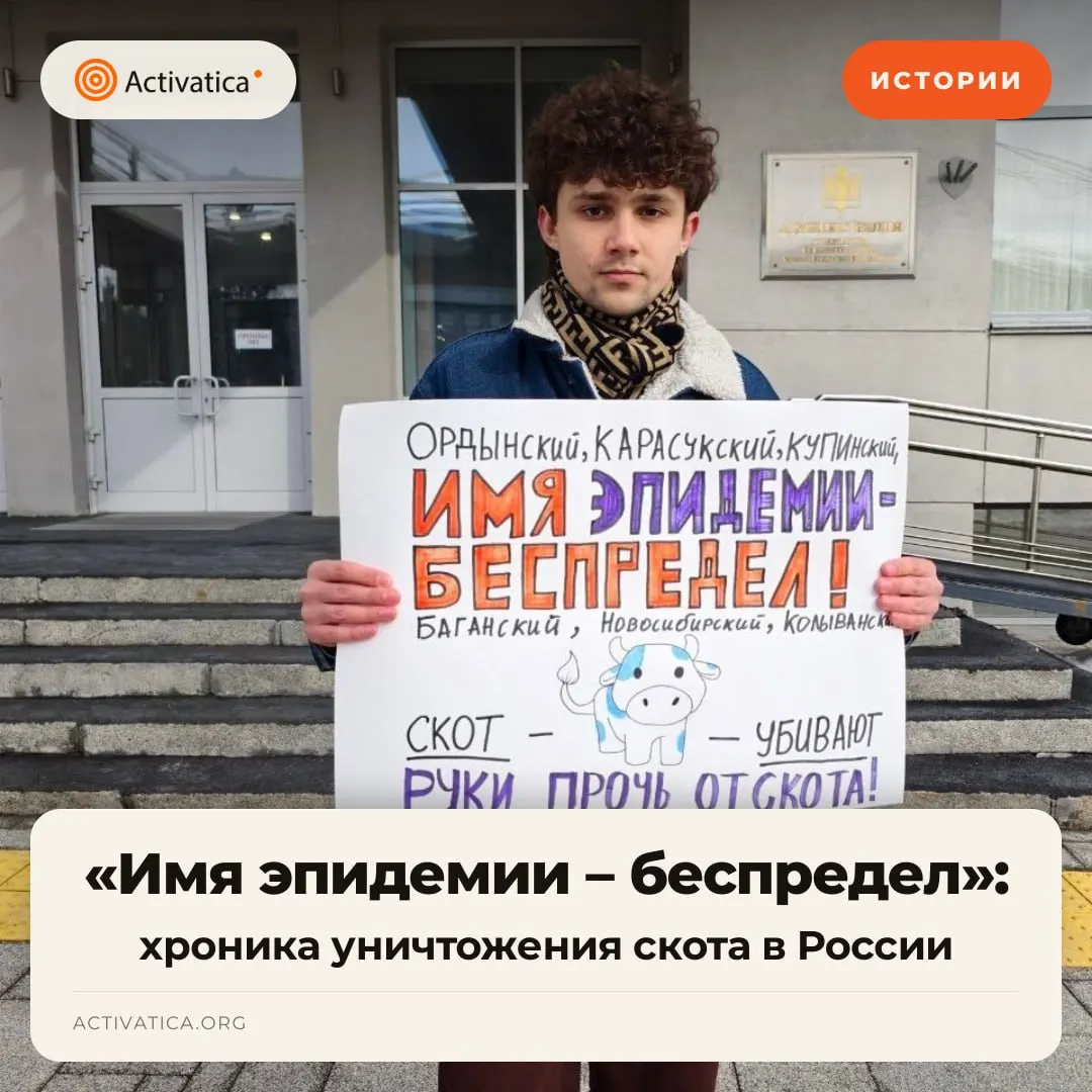 В нескольких регионах зафиксированы случаи изъятия и уничтожения скота под видом эпизоотических мер, что спровоцировало волну протестов и обострило общественную дискуссию.