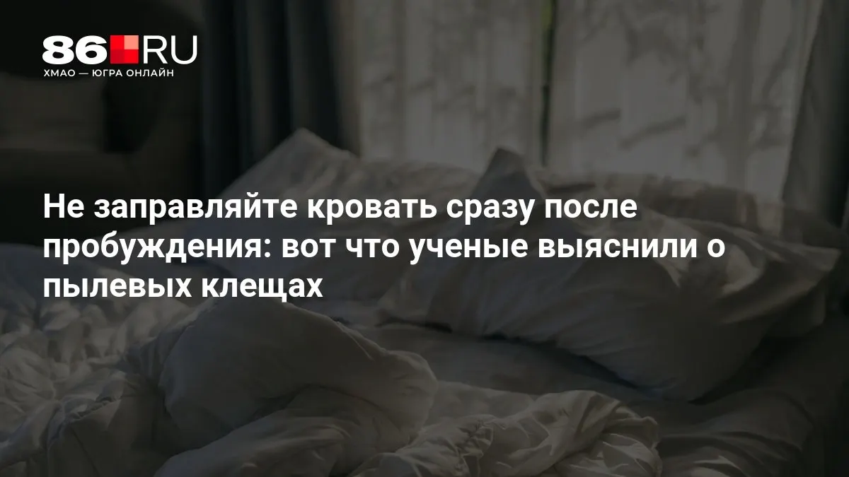 Утренняя лень может быть полезной, а привычка сразу убирать постель — не всегда оправдана.