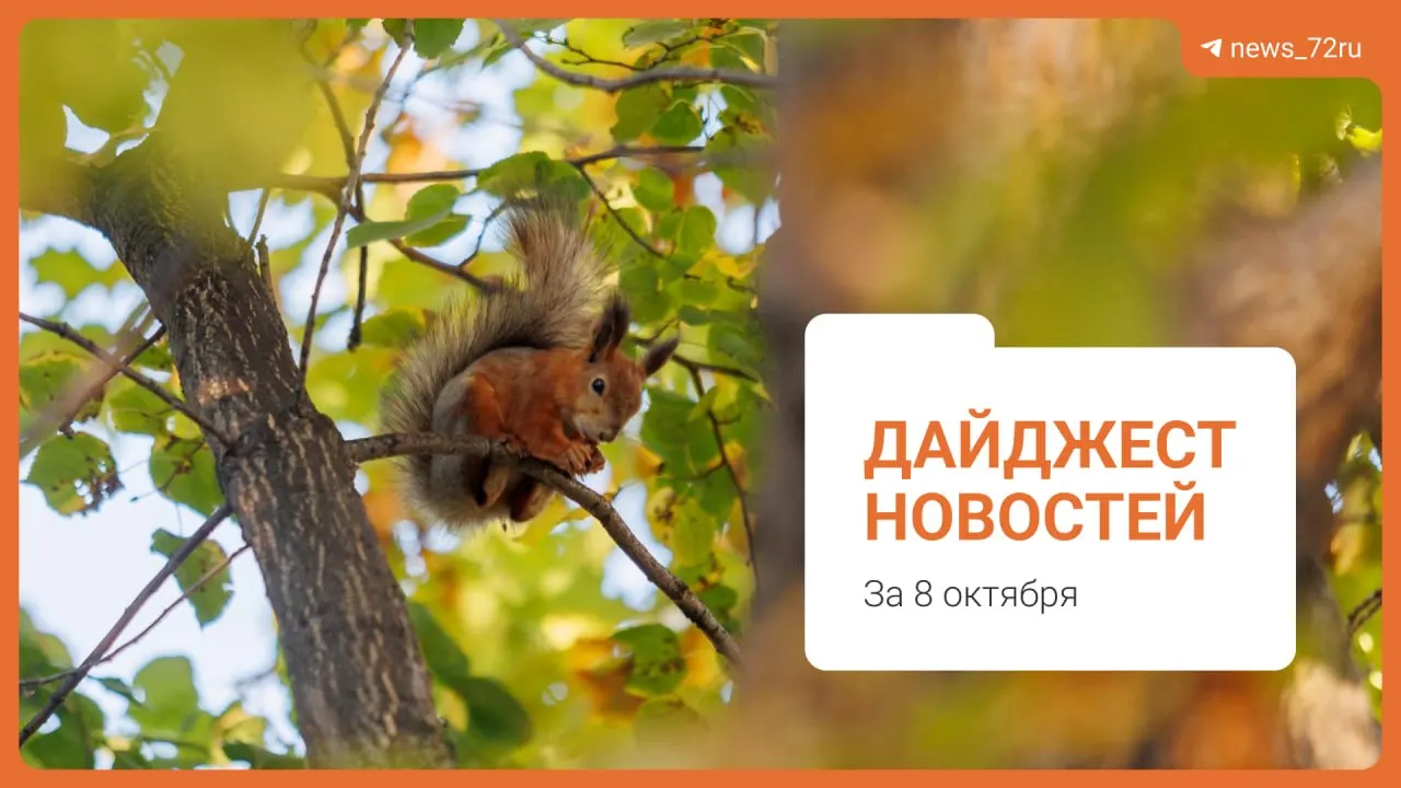 Короткий обзор главных городских событий: происшествия, культура и инфраструктура региона.